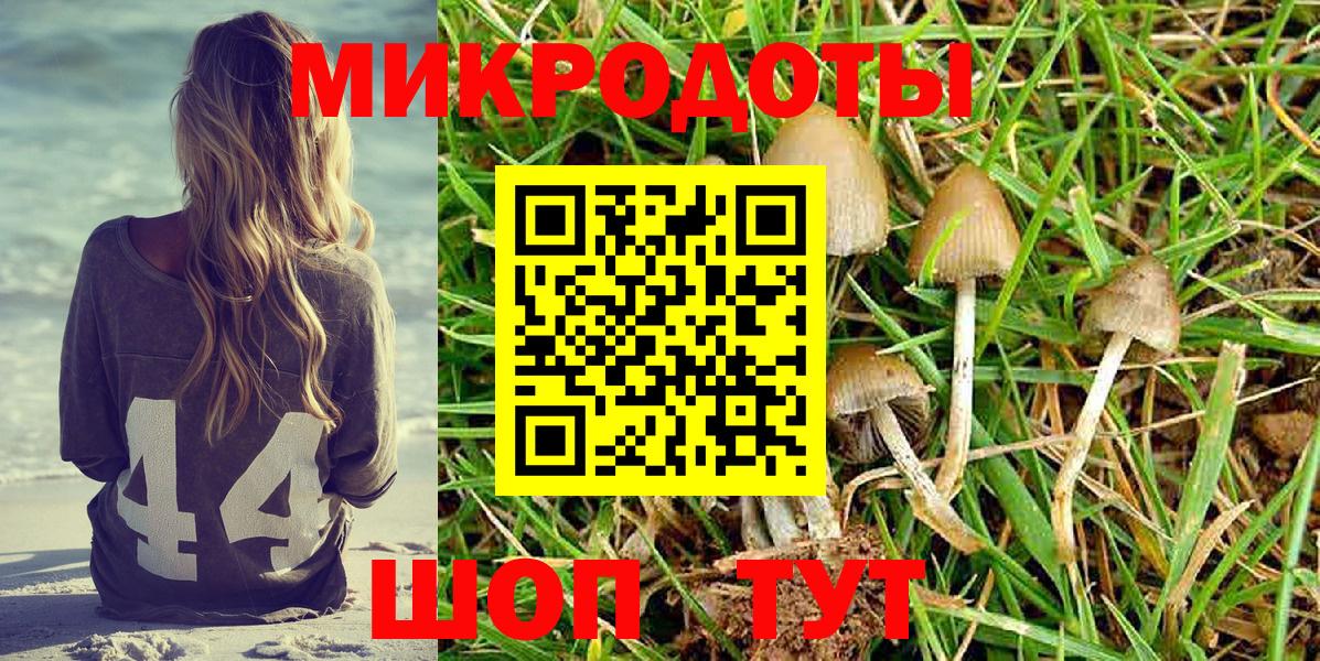 Галлюциногенные грибы MAGIC MUSHROOMS  Галлюциногенные грибы MAGIC MUSHROOMS  купить наркоту  Вход с VPN  Архангельск 